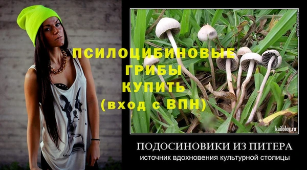 spice Надым