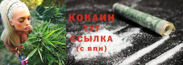 spice Надым