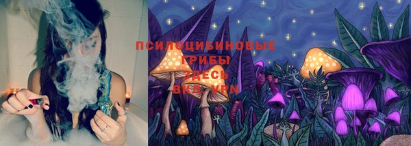 spice Надым
