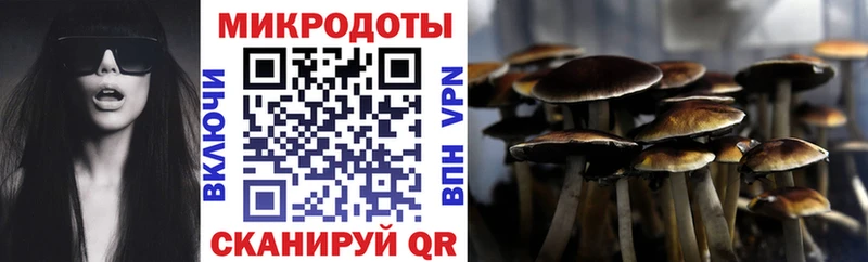 Купить где  Спасск-Дальний  Псилоцибиновые грибы MAGIC MUSHROOMS 